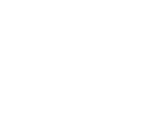 Aevita